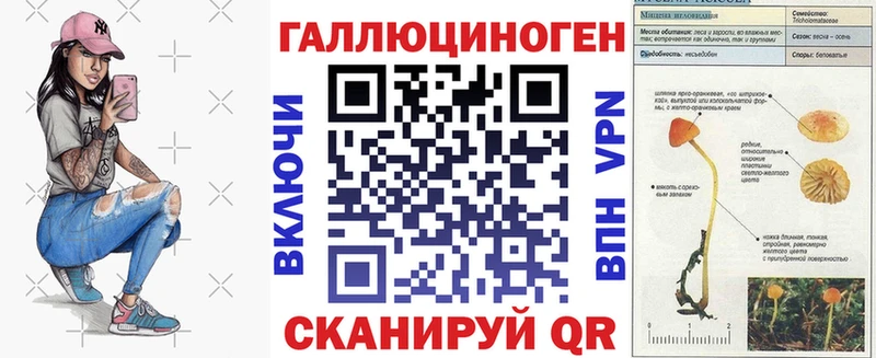 Галлюциногенные грибы Magic Shrooms площадка Telegram Урень